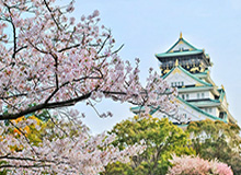 欢迎使用Z-BlogPHP！