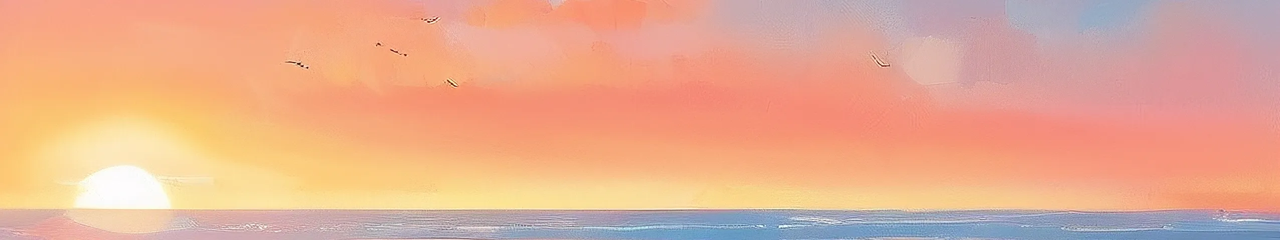 电脑软件